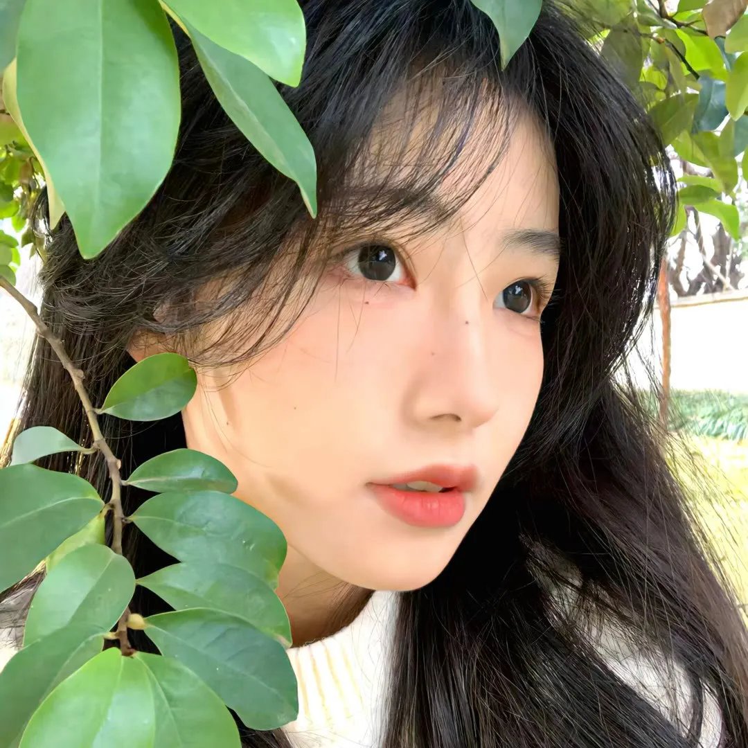 战斗吧!书店女孩